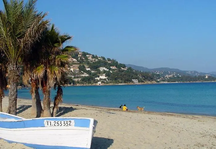 T2 Standing 800m De La De St Clair