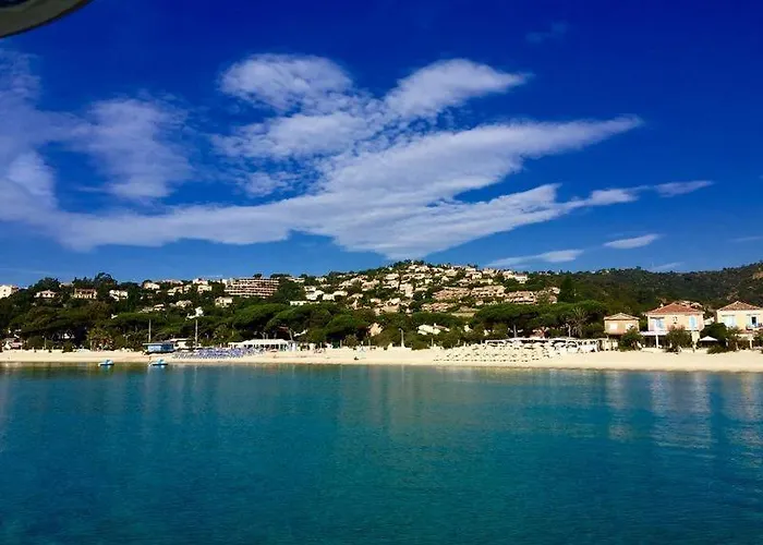 T2 Standing 800m De La De St Clair