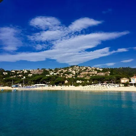 T2 Standing 800m De La De St Clair